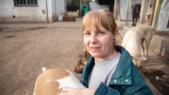 “Cuidar a los perros y