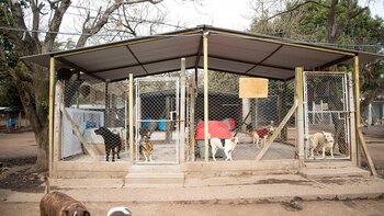 Patricia vive en un terreno