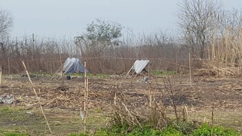 El loteo de los terrenos