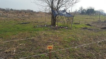 Los terrenos están loteados y