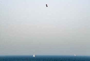 Franky Zapata sobre el Canal