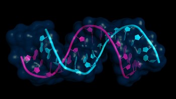 La epigenética es un mecanismo presente en todas las células (Shutterstock)