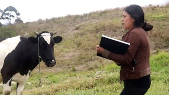 Le presumió a su vaca