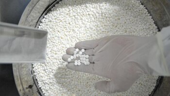 El tratamiento del dolor moderado