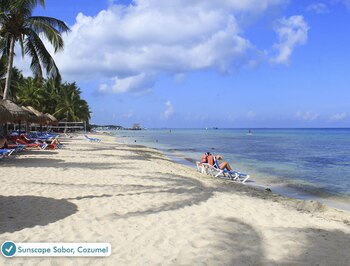 El sargazo se ha alejado