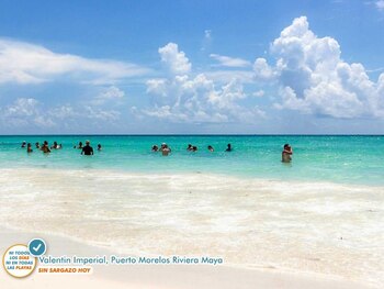 El sargazo se ha alejado