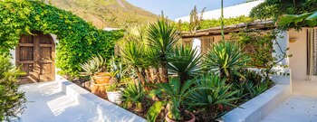 La isla también está cubierta de fauna mediterránea, con palmeras, olivos y cítricos fragantes que se extienden a lo largo de las laderas del encantador volcán