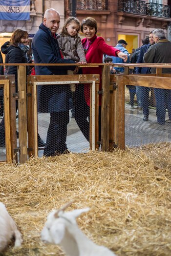 Rodríguez Larreta fue a pasear
