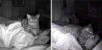 El joven de Tailandia compartió