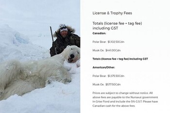 El sitio también recomienda un