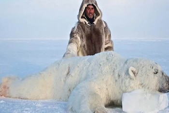 Desde 1995 se busca importar