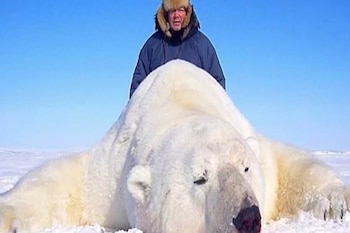 La caza de animales se