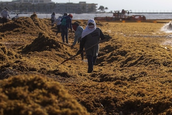 FOTO: ISAAC ESQUIVEL /ARCHIVO/CUARTOSCURO.COM