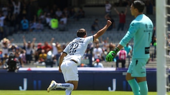 Los Pumas, dirigidos por el