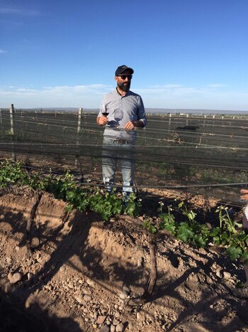 Germán DI Cesare – Enólogo