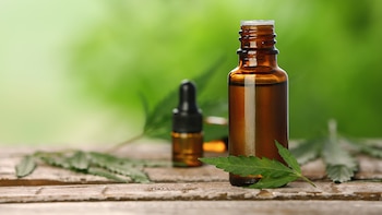 Los pacientes con epilepsia refractaria