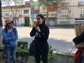 La arquitecta María Bustamante Harfush