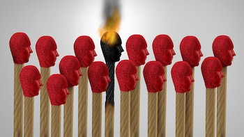 Los hallazgos revelados por la