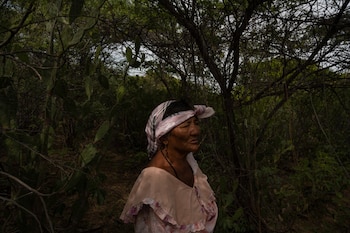 Celia Vangrieken caminaba por el