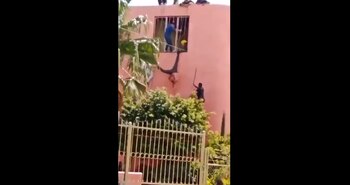 Un ladrón quedó colgado de