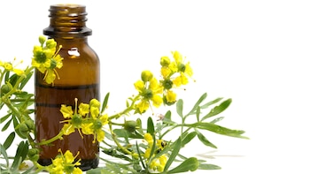 El imaginario guaraní le adjudicó