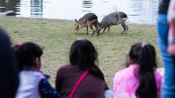 Según cifras oficiales, en julio