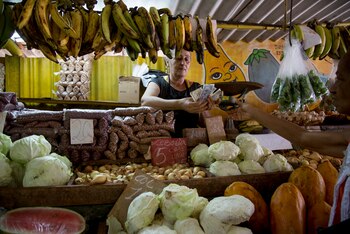 Olga Castillo cuenta dinero luego