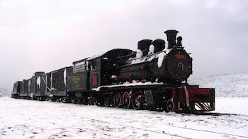 Fue recién en 1950 cuando