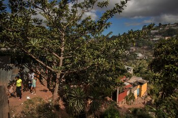 El camino a la escuela en Nueva Suyapa para algunos estudiantes es por un barranco