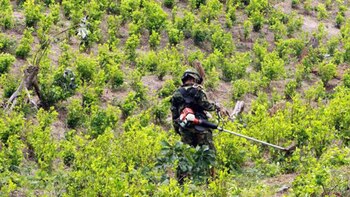 Colombia aún está en los