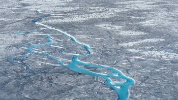 Los especialistas creen que este