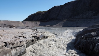 Los especialistas creen que este