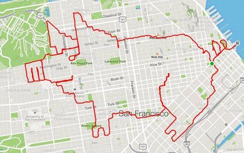 Las ilustraciones son en su