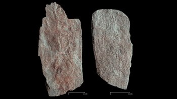 Modelos tridimensionales de dos estelas