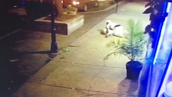 Los dos sufren desde el día