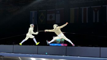 Los hidratos de carbono son