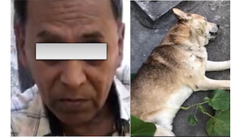 Pedro “N” enfrentará el proceso penal en su contra en una prisión preventiva, es la primera vez en el país que una persona imputada por el delito de maltrato animal enfrente esta medida (Foto: Fiscalía General del Estado de Veracruz)