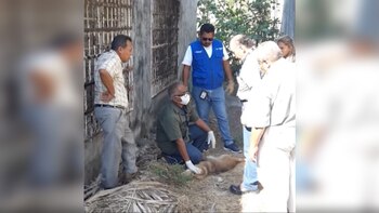 Luego de que fuera asesinado el perro, autoridades de Veracruz acudieron a levantar el cuerpo del animal en compañía de organizaciones de protección animal (Foto: Facebook)