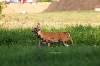 Imagen JYHLDQ5CLFFBNBHWB2OXQZ44QQ