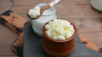 Los probióticos son una manera