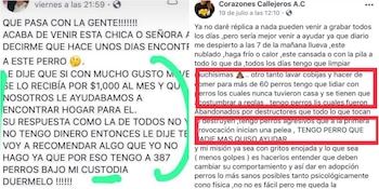 Imagen OER6S4OTPZBMXKADLZ5FZJKVYQ