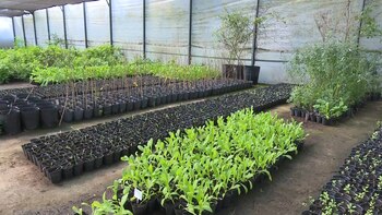 En el CEAMSE de Villa