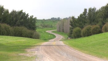 Su producción se destina principalmente