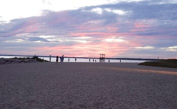 La bacteria carnívora que contrajo