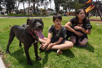 FOTO: CRISANTA ESPINOSA AGUILAR /CUARTOSCURO.COM