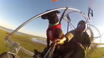 Ramos viajaba junto a su