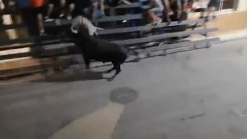 El joven fue revoleado por