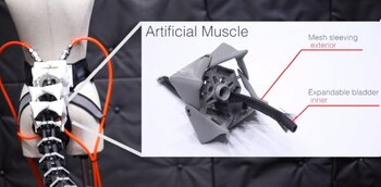 La cola Arque se ensambló