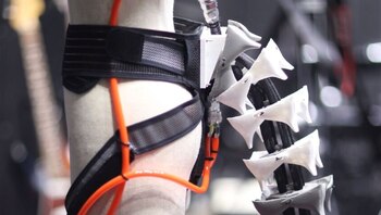 La cola mide 71 centímetros