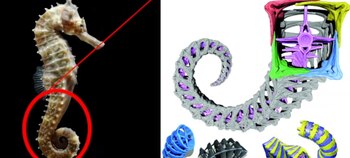 Su diseño se basó en